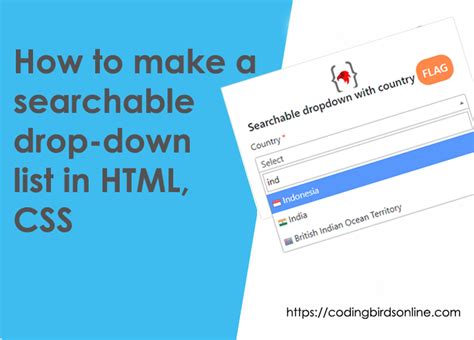 How To Make A Searchable Drop Down List In Html Coding Birds Online