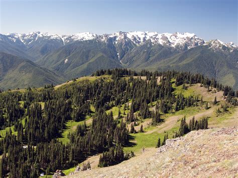 Mount Rainier And Olympic National Parks 2023 Mayflower Cruises And Tours