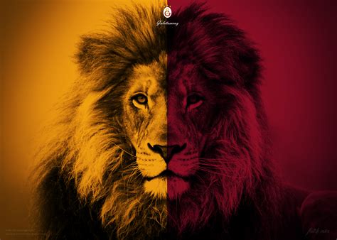 Haftasında galatasaray ile trabzonspor karşı karşıya geldi. Galatasaray Aslan Wallpaper Hd - Hızlı Resim