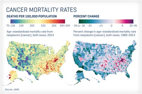 New Cancer Mortality Rate Study Highlights Health Disparities Across