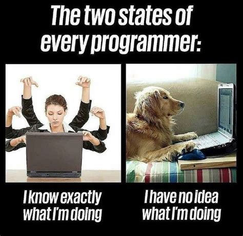 Programming Memes Beanz Magazine