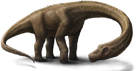 Argentinosaurs The Largest Dinosaur To Have Ever Lived