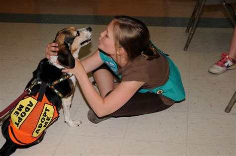 We appreciate your cooperation and ask that no more than 2 people in your party arrive for an appointment. Homeward bound for dogs in Rockville Centre pet event ...