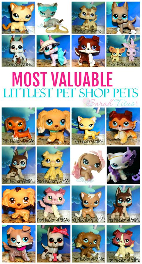 Most Valuable And Rare Littlest Pet Shop Pets List Lps Pets Little Pet