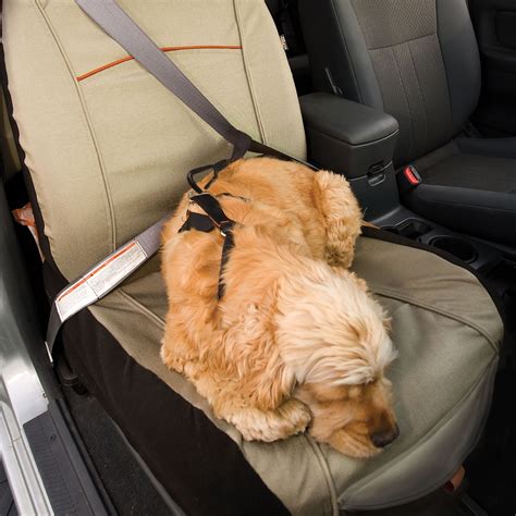 Kurgo® CoPilot Bucket Pet Seat Cover in 2020 | Bucket seat covers, Pet seat covers, Dog seat covers