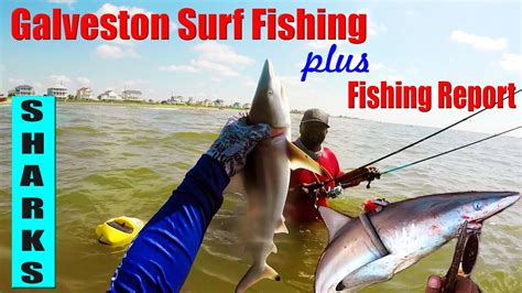 Galveston Texas Fishing The Surf And Fishing Report Youtube