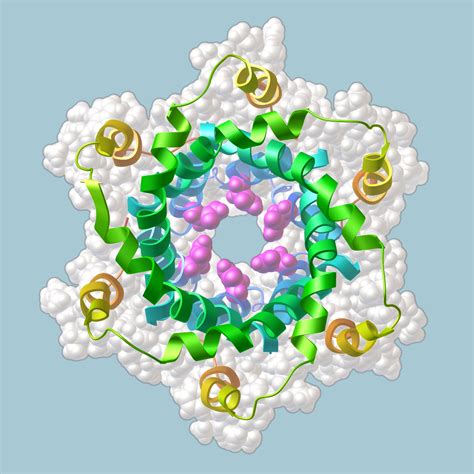 Pdb 101 Learn Structural Biology Highlights Viroporins