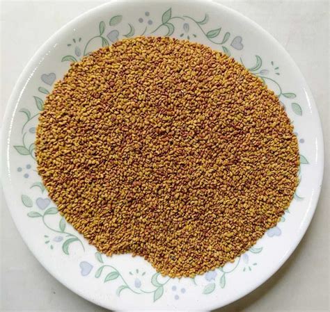 Alfalfa Seed Buy Ayurvedic Products Online Trustherb