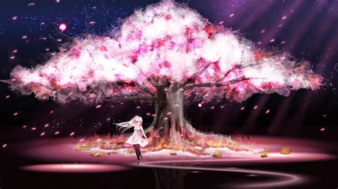 Anime Cherry Blossom Couple Hd Wallpapers Wallpaper Cave