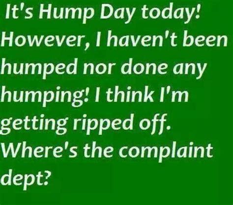 happy hump day funny good morning quotes hump day humor hump day quotes