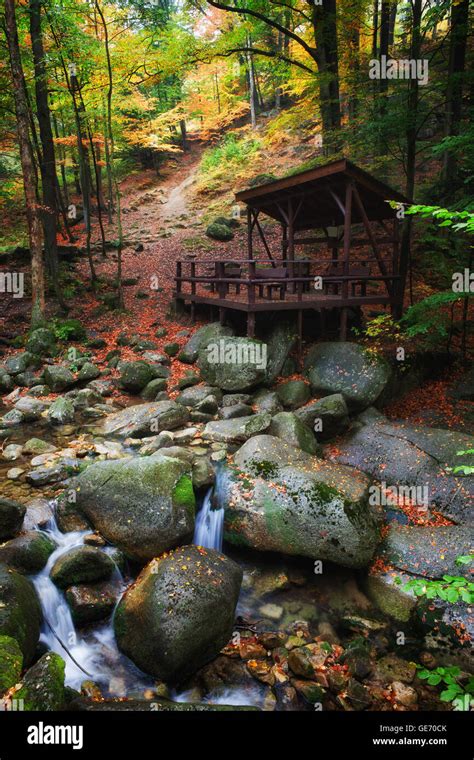 Tranquil Scenery In Autumn Forest Shelter By The Creek At The Mountain