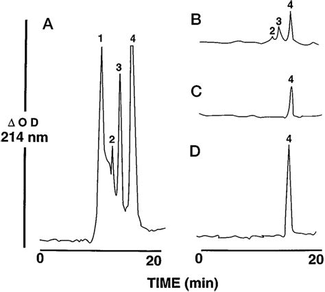 Size Exclusion Chromatography Analysis Of Recombinant Ep