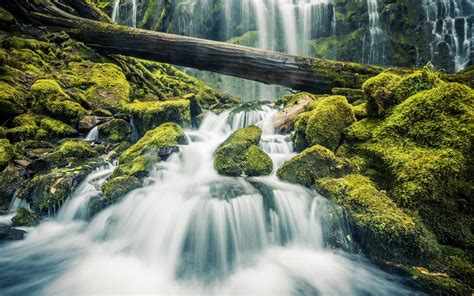 Beautiful Waterfall In Forest Stones Green Moss