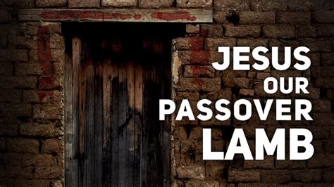 Jesus Our Passover Lamb Devotion Youtube