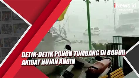 Hujan Angin Di Bogor Pohon Tumbang Timpa Mobil Dan Bangunan Di Citeureup