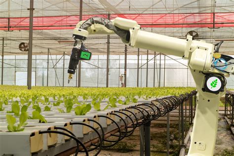 The Role Of Robotics In 21st Century Agriculture Futurebusiness