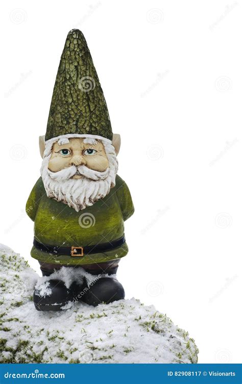 Gnome Standing On Snow Covered Mossy Branch With Isolated Background