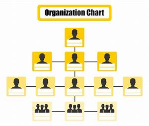 Organizational Chart Organizational Chart Images And Photos Finder