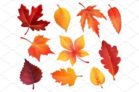 Autumn Foliage Leaf Icons Of Vector Falling Leaves ~ Illustrations ~ Creative Market