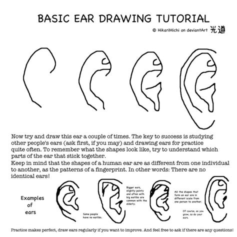 Ear Drawing Tutorial By Hikarimichi On Deviantart