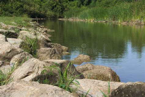 River Rock Stone Water Grass Forest Nature Stock Photo Image Of