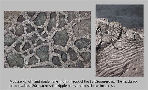 Mudcracks And Ripple Marks Geology Pics