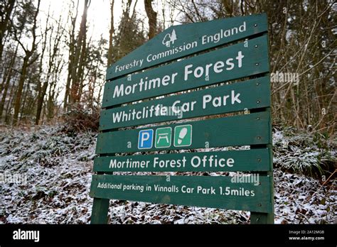 Mortimer Forest At Whitcliffe Near Ludlow Stock Photo Alamy