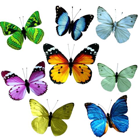 The resolution of image is 354x433 and classified to marcos para fotos. Mariposa Monarca Para Colorear E Imprimir - páginas para ...