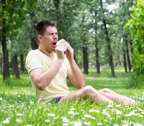 Grass Allergy Grass Pollen Allergy Causes Symptoms Diagnosis And Treatment