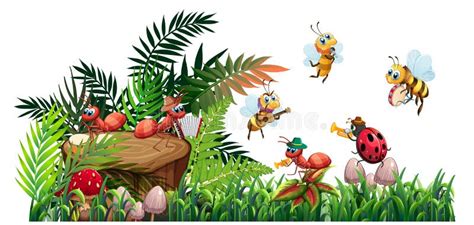 Scene With Many Bugs In The Garden Stock Vector Illustration Of