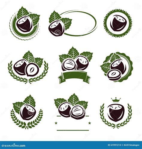 Hazelnut Nuts Labels And Elements Set Vector Stock Vector