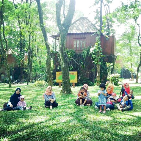 16 Spot Piknik Seru Di Indonesia Dengan Pemandangan Indah Untuk