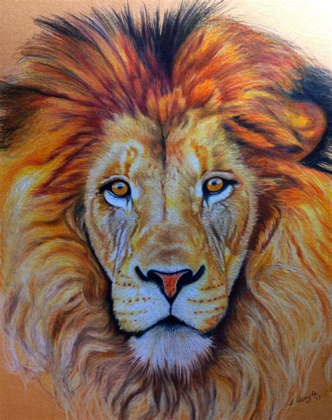 Lion S Head By Lydia Quayle Coloured Pencil Lion Drawing Lion Art