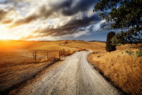 Country Road Through The Fields Of Tuscany Stock Photo Download Image