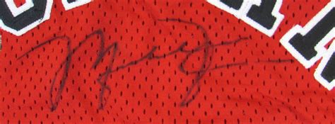 Lot Detail 1995 96 Michael Jordan Signed Pro Cut Jersey