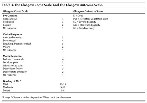 Glasgow Outcome Scale