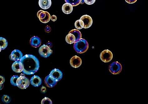 Find the perfect black background stock photos and editorial news pictures from getty images. Free Stock image of Soap bubbles floating on black ...