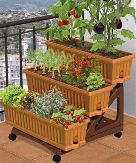 How To Grow A Balcony Vegetable Garden The Garden