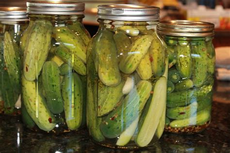 Pickles Soaking In Their Jars Rpics