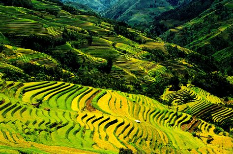 Ancient Terraforming Yunnan S 1 000 Year Old Hani Rice Terraces Gokunming