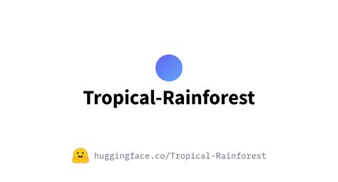 Tropical Rainforest Fiona Fahey