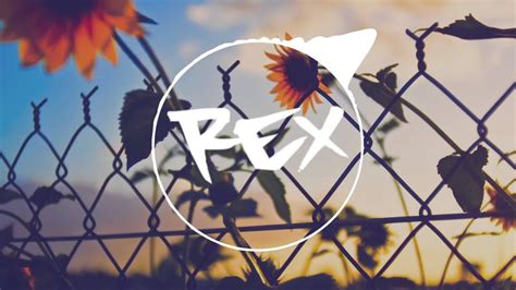Accessoires et alimentation pour animaux, blog animaux Plain White T's - Hey There Delilah (Kosta Sakkas & Harry ...
