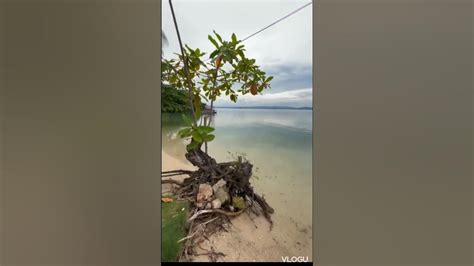 White Beach Sa Pagbilao Quezon Pugad Lawin Beach Resort Youtube