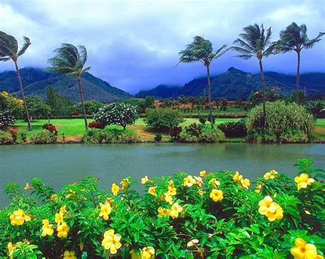 Maui Island Is The Second Largest Island In The Hawaiian Islands Yellow