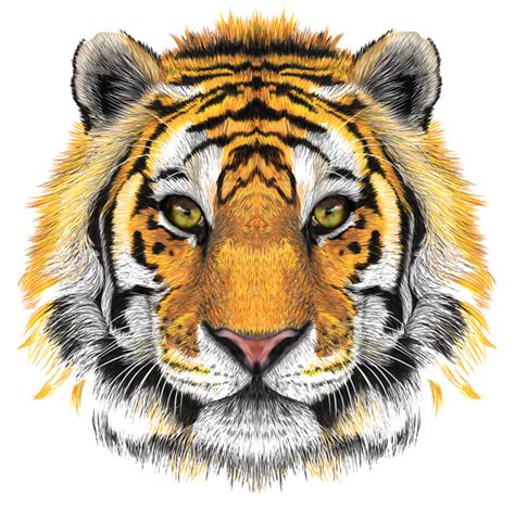 Tiger Face Png Transparent