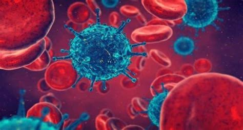 As the virus continues to multiply and destroy your immune cells — the cells in causes. Cellular proliferation keeps the HIV-infected cells alive, finds study | TheHealthSite.com
