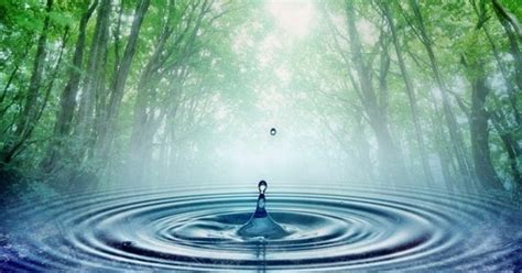 Ia memberikan begitu banyak kesempatan agar kita 'menoleh ke atas' dan bersyukur dengan nikmat allah. 3 Cara Mensyukuri Nikmat Allah Swt - Bacaan Madani ...