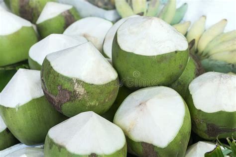 Fresh Green Coconuts Sold In The Market Street Stock Image Image Of