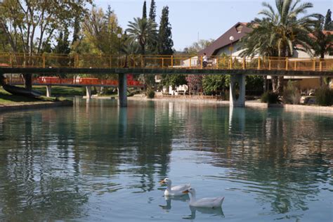במידה ומה שאתה מנסה לטעון זה שהשם הרשמי של הנחל צריך להיות השם של המאבק, ולא האסי, שזה שם לא רשמי. המאבק לשחרור האסי יכול להיות גם מאבק לשחרור השמאל - שיחה ...