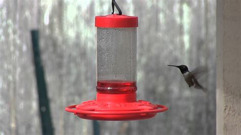 15 Best Hummingbird Feeder For Your Yard In 2022 Homes Decor